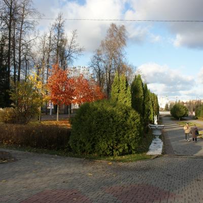 Dsc00708