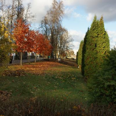 Dsc00709
