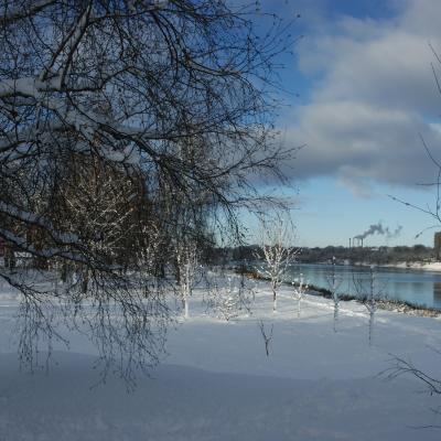 Dsc00746