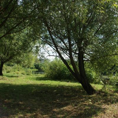 Tver Leto1 Foto 33
